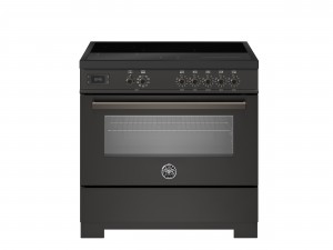 Bertazzoni PRO95I1ECAT2